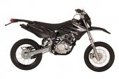 2009 Sherco SM 125-F photo